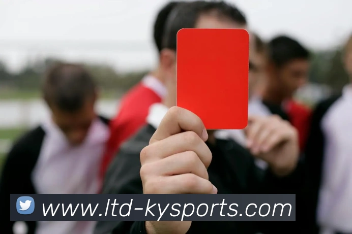 球赛投注平台生态图